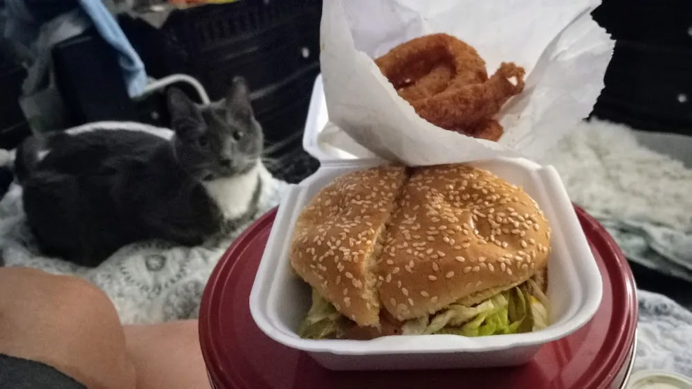 Hamburger & Onion Rings